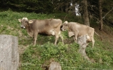 Dscn1805