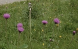 Dscn1820