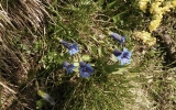 Dscn2178
