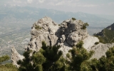 Dscn2202